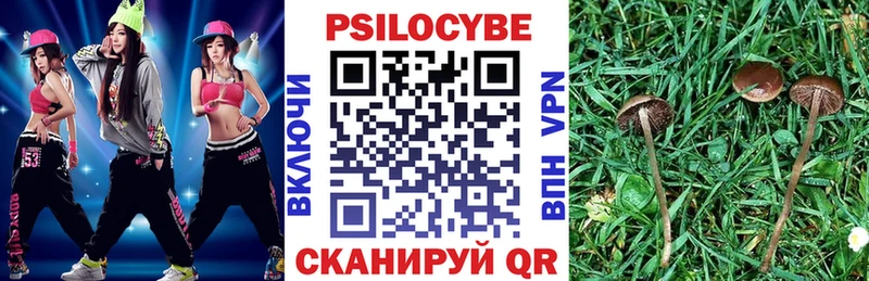 Псилоцибиновые грибы Psilocybe  Купить где  Черногорск 